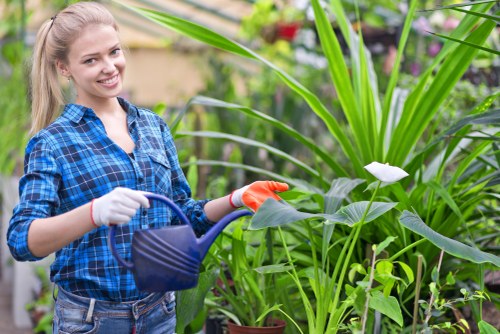 Gardener mowing a small Ilford front lawn