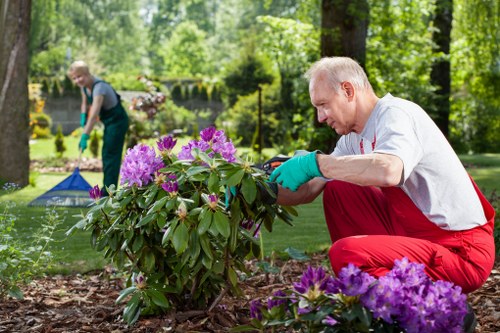 Best practices for mowing your lawn in Ilford