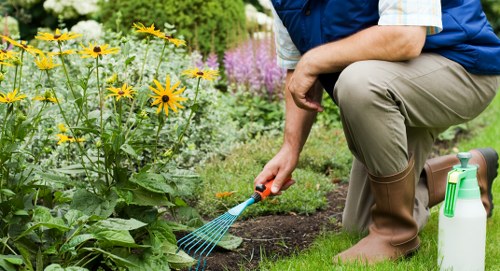 Eco-friendly garden clearance process with sustainable practices
