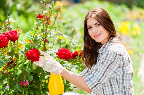 Professional landscaper planning a garden design in Ilford