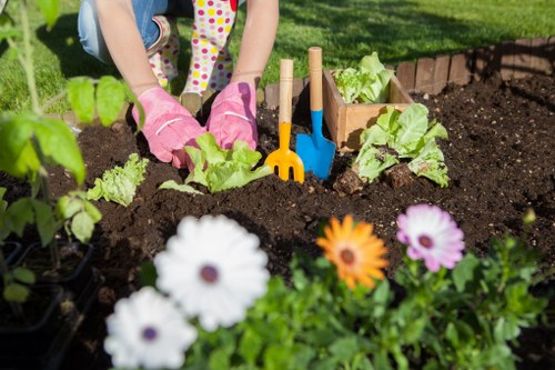 Essential gardening tools for garden maintenance