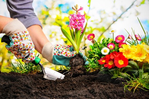 Professional garden maintenance services at work in Ilford