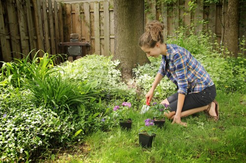 Summer garden maintenance activities in Ilford
