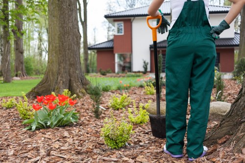 Modern hedge trimming tools and equipment