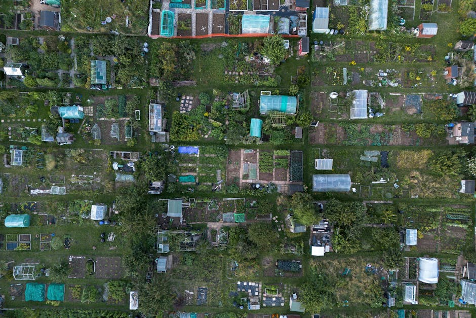 An aerial view of a community garden divided into multiple rectangular plots, each bordered by wooden or metal fencing. The garden features a variety of plants, including leafy vegetables, herbs, and